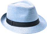 Hat for the role Administrator